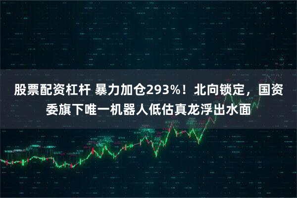 股票配资杠杆 暴力加仓293%！北向锁定，国资委旗下唯一机器人低估真龙浮出水面